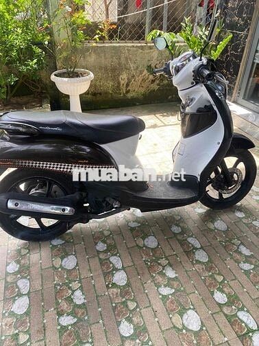 Yamaha Mio Đen trắng