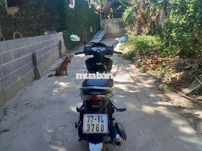 Honda Air Blade 2010 Đen bạc