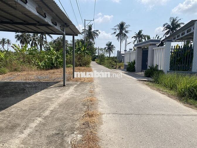 BÁN ĐẤT THỔ CƯ - PHÚ THẠNH - TÂN PHÚ ĐÔNG