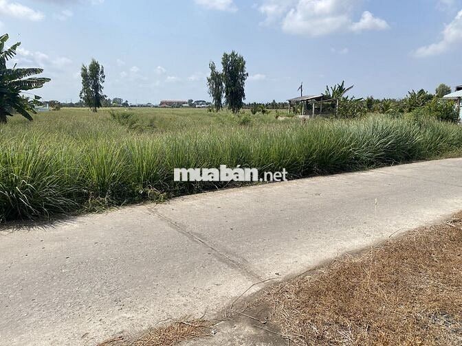 BÁN ĐẤT THỔ CƯ - PHÚ THẠNH - TÂN PHÚ ĐÔNG