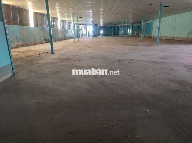 XƯỞNG GẦN CVPM QUANG TRUNG 1350M2 CONT ĐÊM GIÁ TỐT