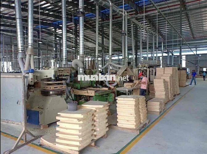 CẦN TUYỂN 200 NAM/NỮ LĐPT