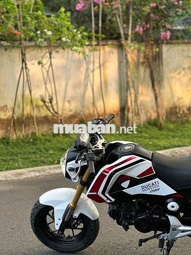 Honda MSX 2016 Trắng đen đỏ