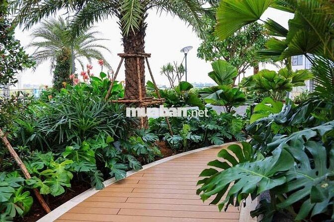 Giỏ hàng độc quyền 15 căn shophouse Green Skyline, chính sách tốt nhât
