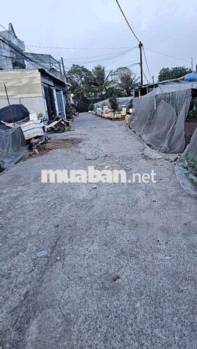 bán đất full thổ cư cư - đường bùi thị Lùng-thơi tam thôn - hóc môn