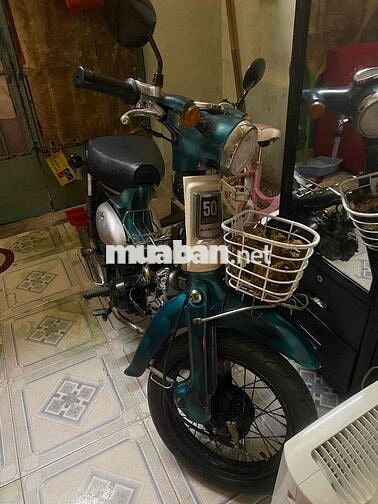 Honda Cub 50 1981 Xanh