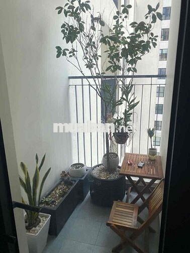 CẦN BÁN NHANH CĂN 2 NGỦ FPT PLAZA 2 GIÁ CHỈ 2,7TỶ FULL NỘI THẤT