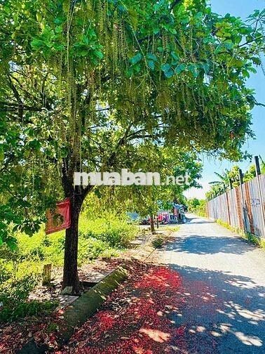 ĐANG ÁP LỰC NỢ NGÂN HÀNG NÊN BÁN GẤP TÂN PHÚ TRUNG – CỦ CHI