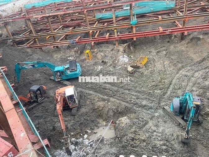 CẦN TÀI XẾ LÁI XE ĐÀO
