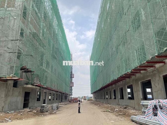 CẦN TÀI XẾ LÁI XE ĐÀO