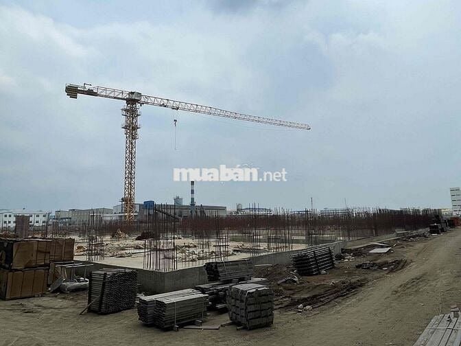 CẦN TÀI XẾ LÁI XE ĐÀO