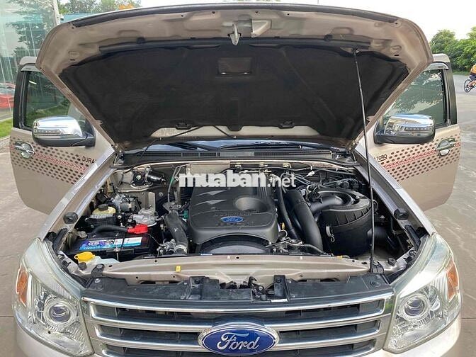 Ford Everest SX 2015 Vàng cát