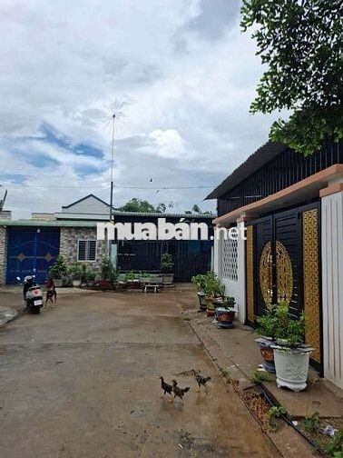 nhà đẹp lô gốc tại tân định bến cát Bình Dương