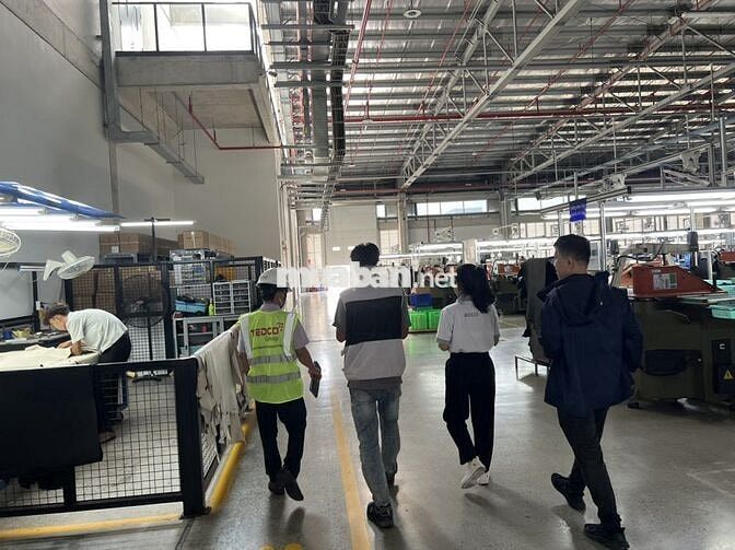 ECCO BÀU BÀNG TUYỂN DỤNG KHÔNG YÊU CẦU KINH NGHIỆM
