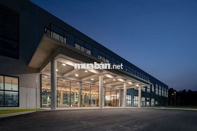 ECCO BÀU BÀNG TUYỂN DỤNG KHÔNG YÊU CẦU KINH NGHIỆM