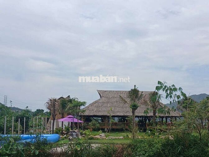 Hướng dẫn viên địa phương cho người nước ngoài