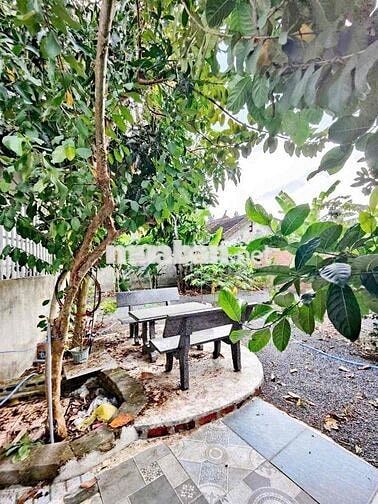 Nhà Mặt Tiền Phường Bắc Nha Trang Siêu To Siêu Rẻ