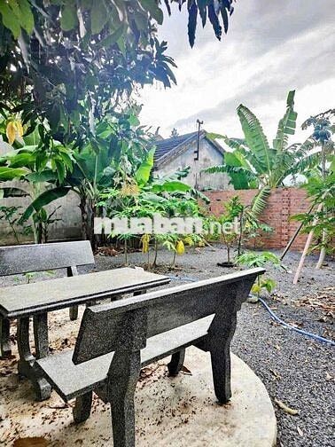 Nhà Mặt Tiền Phường Bắc Nha Trang Siêu To Siêu Rẻ