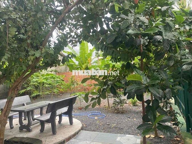 Nhà Mặt Tiền Phường Bắc Nha Trang Siêu To Siêu Rẻ