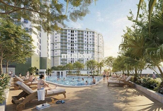 2,x tỷ sở hữu căn 3PN tại Ecohome Hòa Hiệp - nhận ngay 2 chỉ vàng 