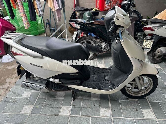 Honda SCR 110 Trắng