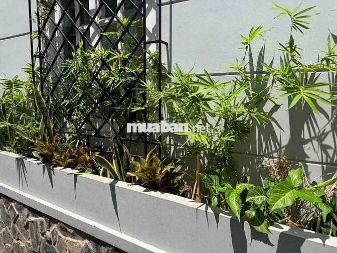 Cho thuê nhà nguyên căn mặt tiền Sơn Kỳ