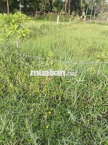 Tôi chính chủ bán có hồ sơ quy chủ