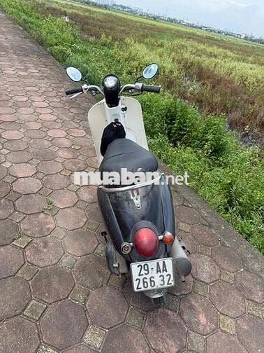 Honda Scoopy 50cc Trắng Đen