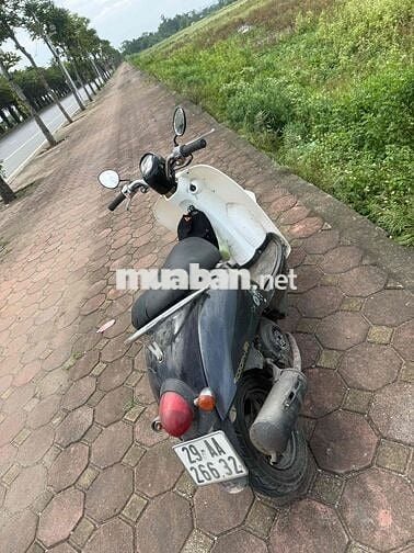 Honda Scoopy 50cc Trắng Đen