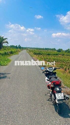 Bán đất 2800m²  Mặt tiền kênh 8 đường vườn Thơm Bình Lợi Bình Chánh 