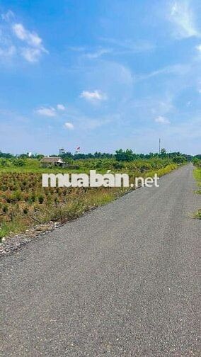 Bán đất 2800m²  Mặt tiền kênh 8 đường vườn Thơm Bình Lợi Bình Chánh 