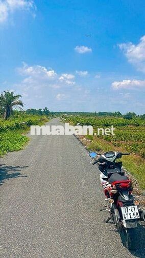 Bán đất 2800m²  Mặt tiền kênh 8 đường vườn Thơm Bình Lợi Bình Chánh 