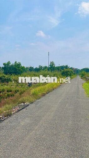 Bán đất 2800m²  Mặt tiền kênh 8 đường vườn Thơm Bình Lợi Bình Chánh 