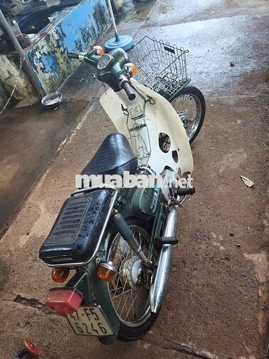 Honda Cub 70 Xanh lá, Trắng
