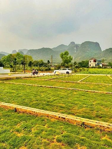 🎯 CHỈ HƠN 200 TRIỆU MÀ MUA ĐẤT SỔ ĐỎ TRAO TAY????