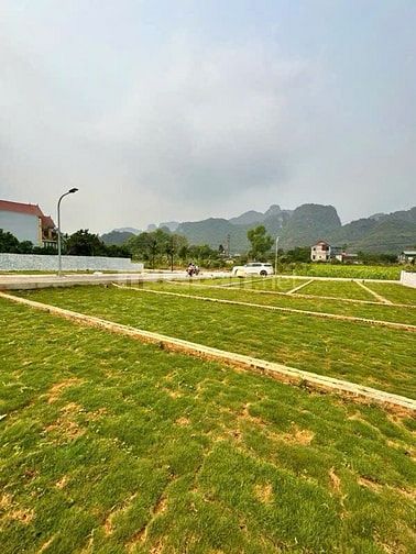 🎯 CHỈ HƠN 200 TRIỆU MÀ MUA ĐẤT SỔ ĐỎ TRAO TAY????