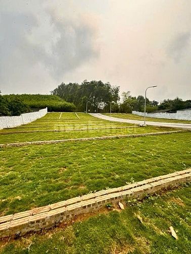 🎯 CHỈ HƠN 200 TRIỆU MÀ MUA ĐẤT SỔ ĐỎ TRAO TAY????