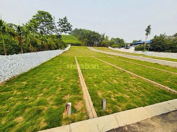 🎯 CHỈ HƠN 200 TRIỆU MÀ MUA ĐẤT SỔ ĐỎ TRAO TAY????