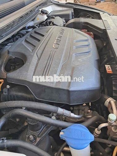 Kia Sedona 2020 Tiêu chuẩn Dầu