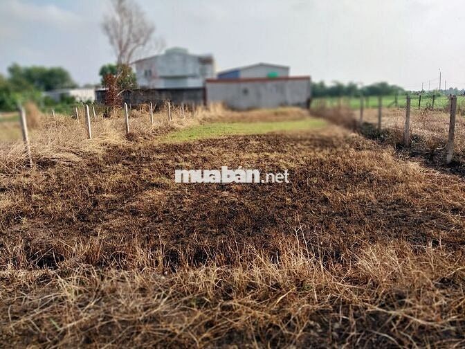 BÁN GÂP 413M2. GIÁP ĐƯỜNG 107 ĐẤT TÂN THẠNH ĐÔNG 
