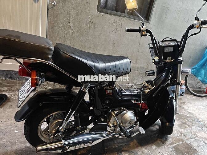 Honda Chaly Đen