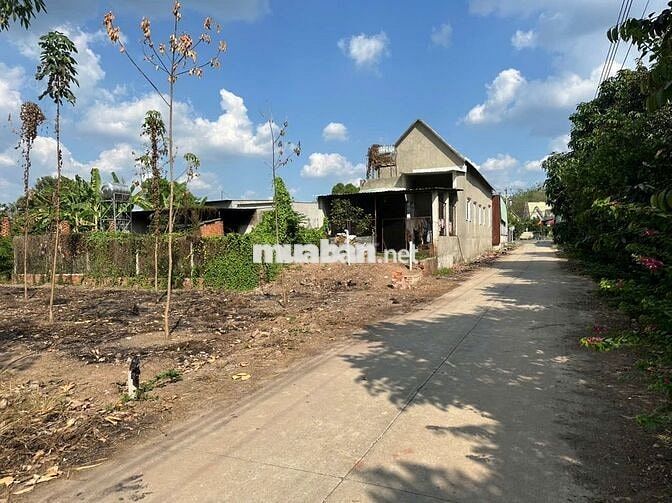 Cần Bán Gấp 1 Lô 232m2, Sổ Hồng Riêng, MT Đường 8m Giá NH Hỗ Trợ 650TR