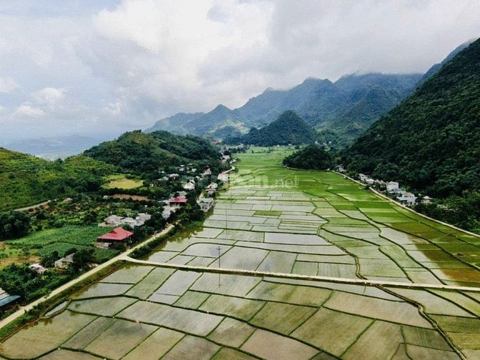 Chính chủ cần bán gấp 495m view cánh đồng Siêu đẹpTân Lạc Hoà Bình