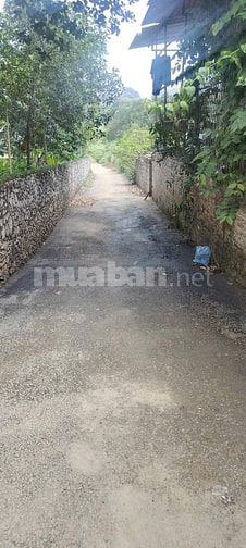 Chính chủ cần bán lô đất 1700m tại Thị trấn Thanh Hà - Lạc Thủy - HB