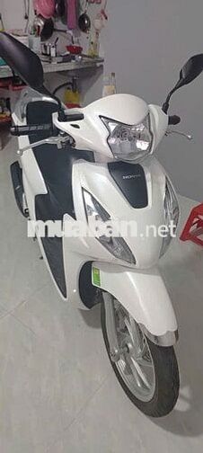 Honda Vision Trắng 8000km