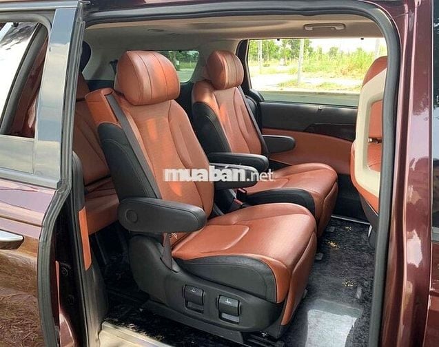 Carnival 2022 Signature qua sử dụng giá hợp lý
