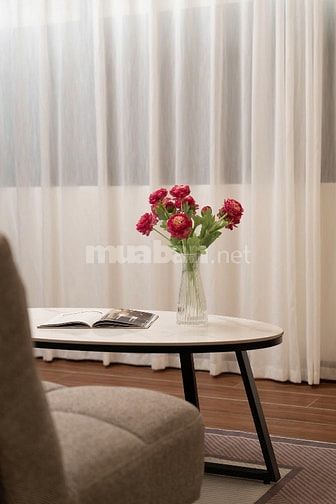 Cho thuê căn hộ dịch vụ 1PN tại Nguyễn Công Hoan, Ba Đình