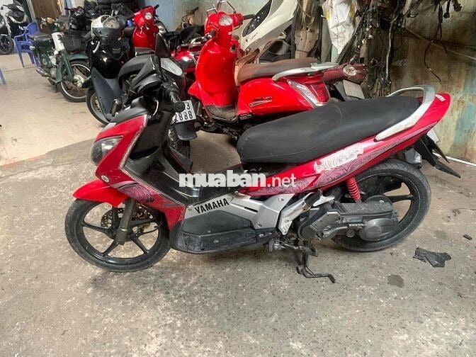 Yamaha Luvias Đỏ Thể thao