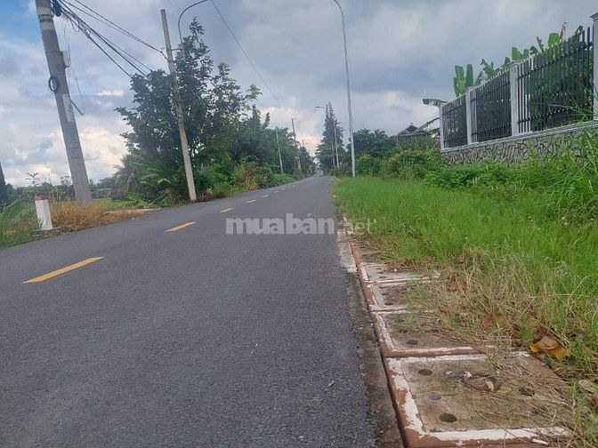 Bán 1.000m2 thổ, góc 2MT đường Lương Ngang, Tân Nhựt, Bình Chánh
