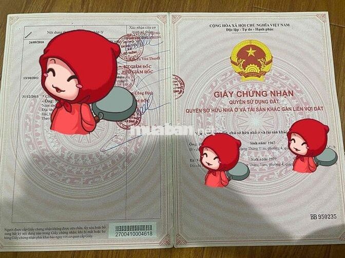 chung cư thang bộ lầu 1_,1pn 1 gác đúc,sàn gỗ,sổ hồng lâu dài, nhà đẹp